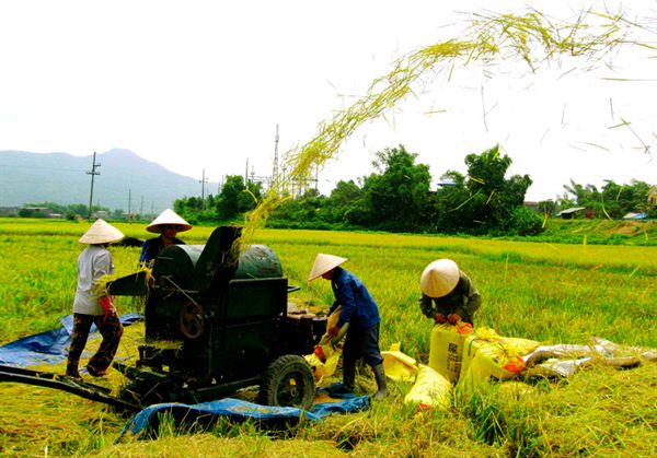 193.000 tỉ đồng vốn ngân sách xây dựng nông thôn mới trong 5 năm tới