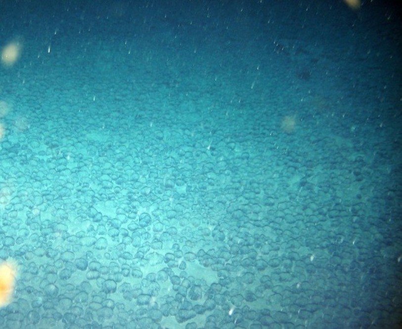 “Giật mình” với những “vật thể kỳ lạ” được tìm thấy dưới đáy đại dương - H7